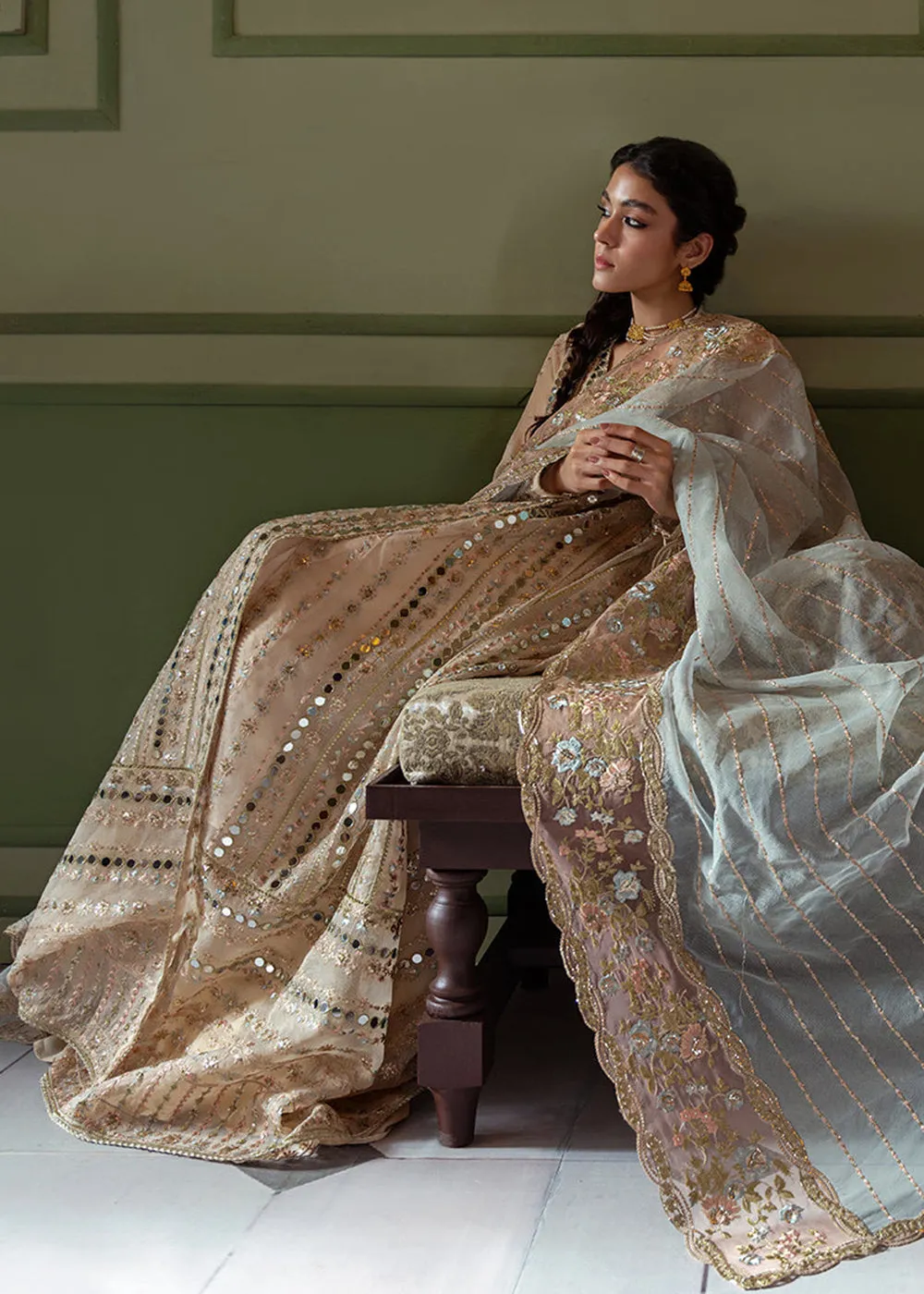Beige Organza Net Pakistani Suit | Mushq | Qala Kamdaani | Aaima