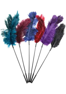 Ostrich Feather Tickler Combo